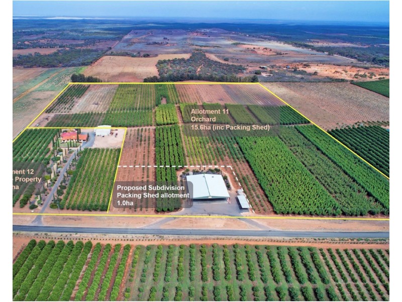 406 Government Road, Renmark SA 5341