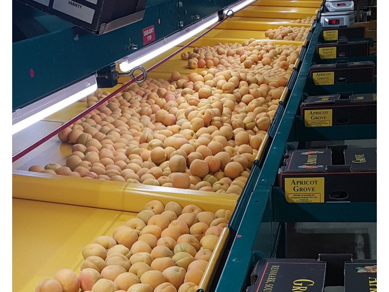 406 Government Road, Renmark SA 5341