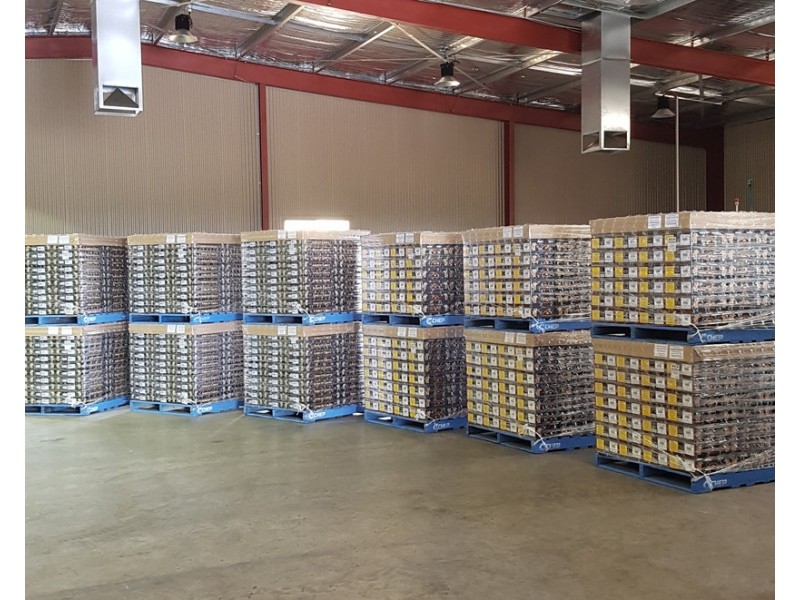 406 Government Road, Renmark SA 5341