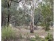 95 Page Drive, Blanchetown SA 5357