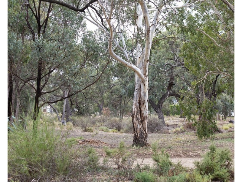 95 Page Drive, Blanchetown SA 5357