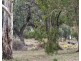 95 Page Drive, Blanchetown SA 5357