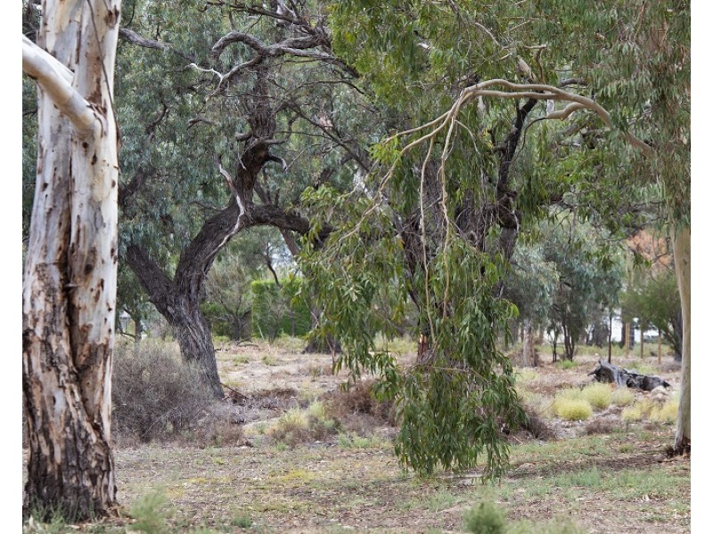 95 Page Drive, Blanchetown SA 5357