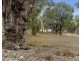 95 Page Drive, Blanchetown SA 5357