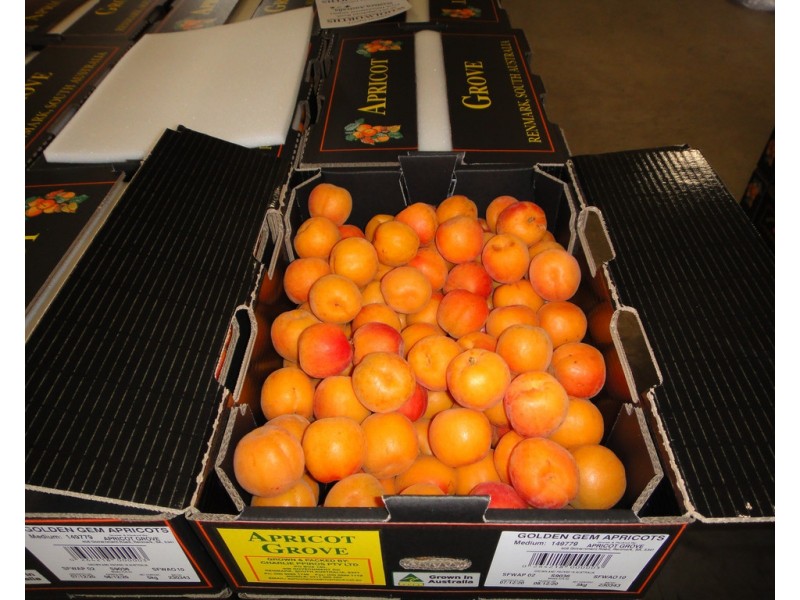 406 Government Road, Renmark SA 5341