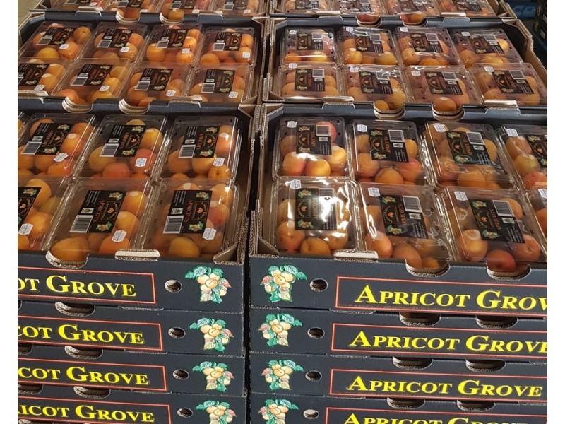 406 Government Road, Renmark SA 5341