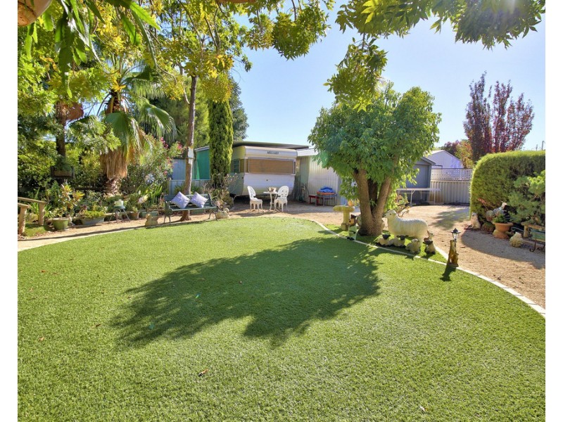 17 WESTBROOK AVENUE, Loxton SA 5333