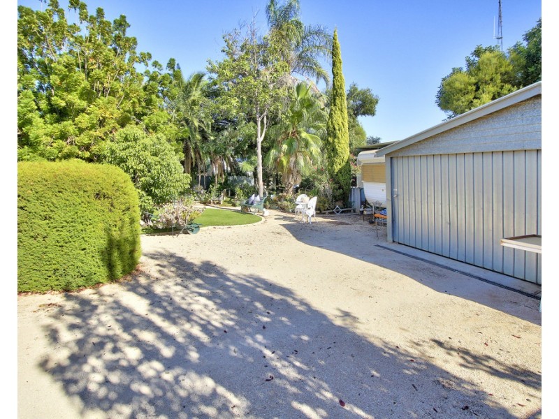 17 WESTBROOK AVENUE, Loxton SA 5333