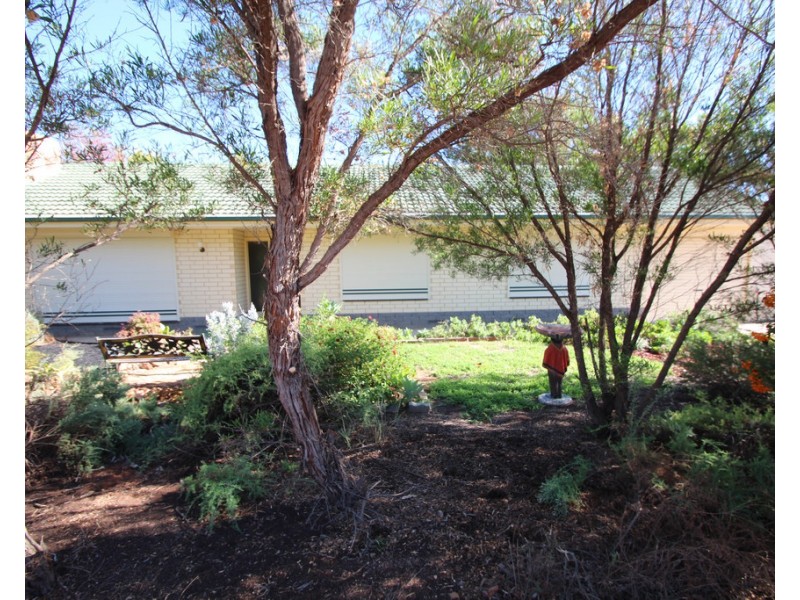 100 Pyap Street,, Renmark SA 5341