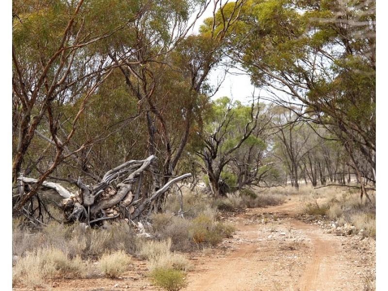 Lot 394 Pelican Point Road, Morgan SA 5320