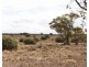Lot 394 Pelican Point Road, Morgan SA 5320