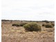 Lot 394 Pelican Point Road, Morgan SA 5320