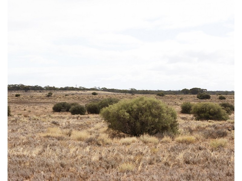 Lot 394 Pelican Point Road, Morgan SA 5320