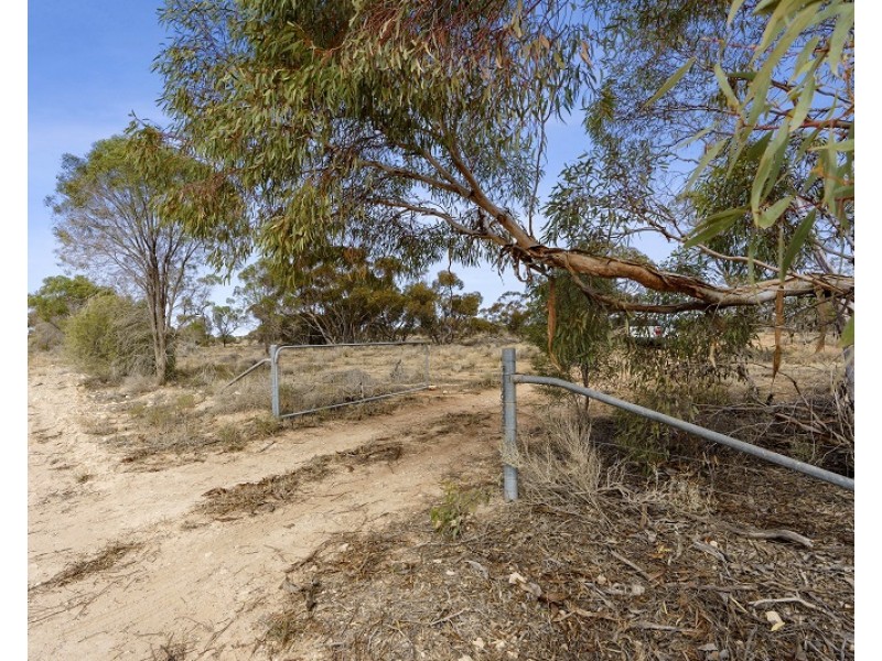 Lot 394 Pelican Point Road, Morgan SA 5320