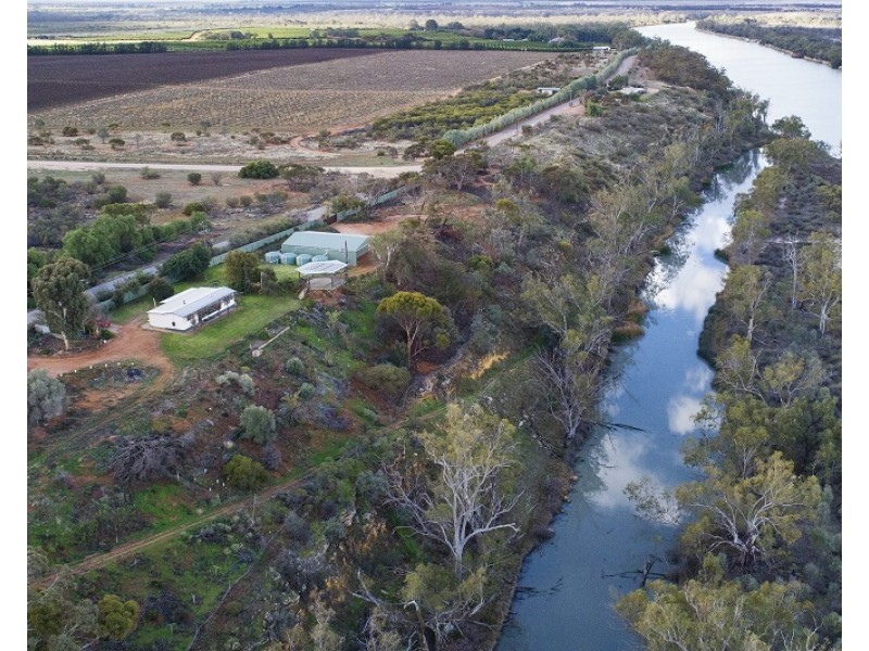 817 Murrayview Road, Ramco SA 5322
