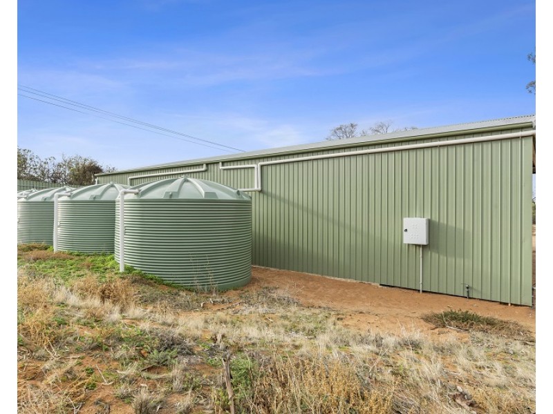 817 Murrayview Road, Ramco SA 5322