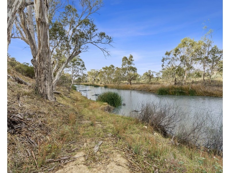 817 Murrayview Road, Ramco SA 5322