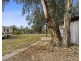 Lot 146 Scotts Creek Shack Road, Morgan SA 5320
