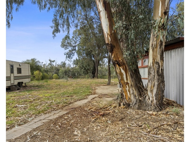 Lot 146 Scotts Creek Shack Road, Morgan SA 5320