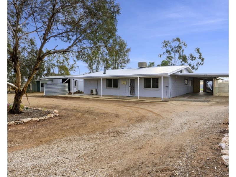 319 Caddy Road, Loveday SA 5345