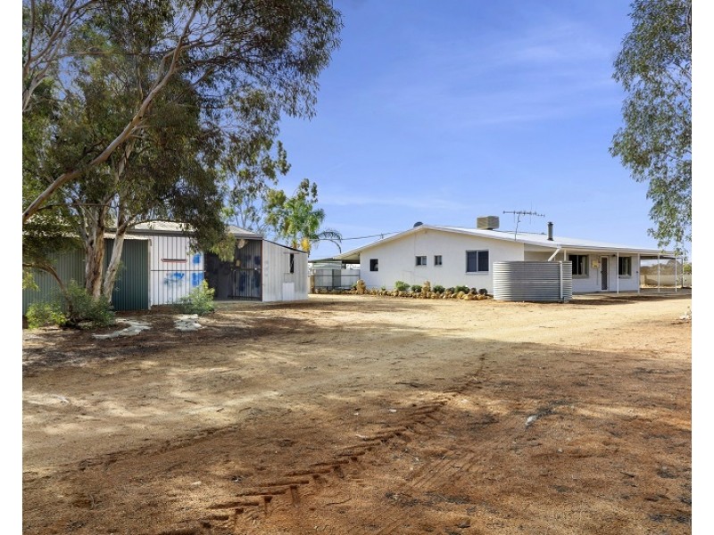 319 Caddy Road, Loveday SA 5345