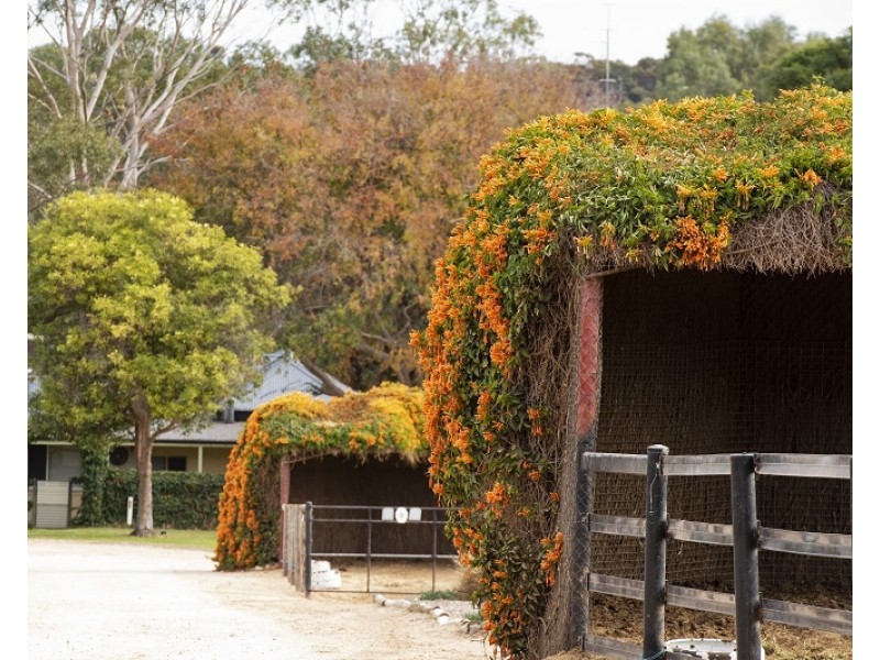 2415 Murbko Road, Murbko SA 5320