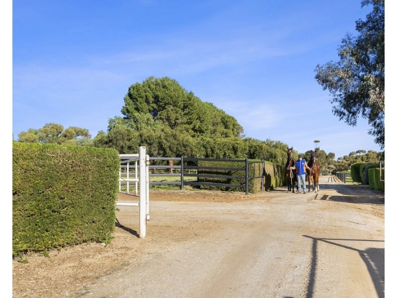 2415 Murbko Road, Murbko SA 5320