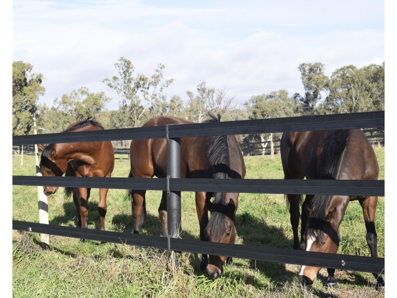 2415 Murbko Road, Murbko SA 5320