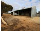 5397 KAROONDA HIGHWAY, Wanbi SA 5310