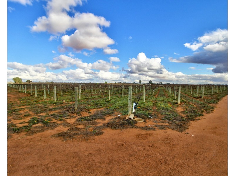 737 Kibby Road, Loxton SA 5333