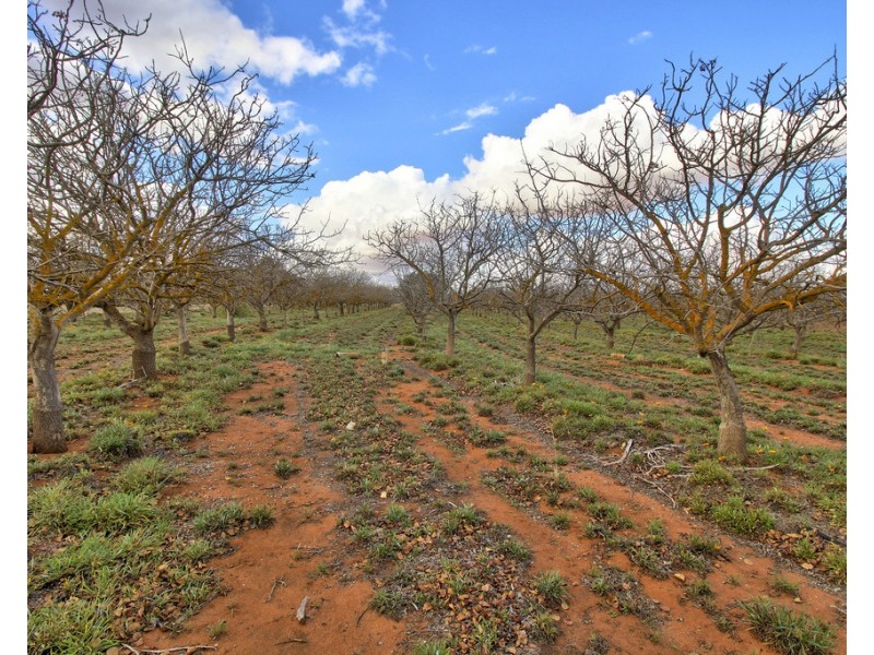 737 Kibby Road, Loxton SA 5333