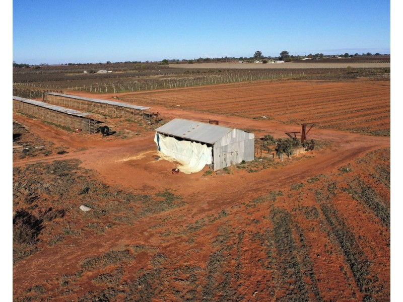 737 Kibby Road, Loxton SA 5333