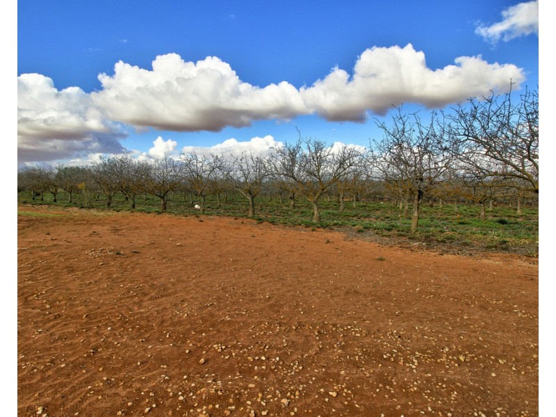 737 Kibby Road, Loxton SA 5333