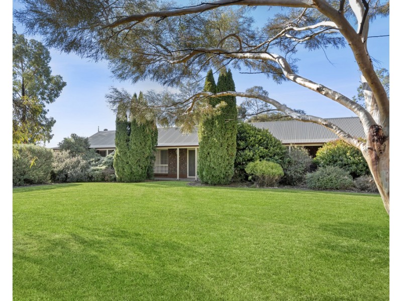 35 Townsend Street, Renmark SA 5341