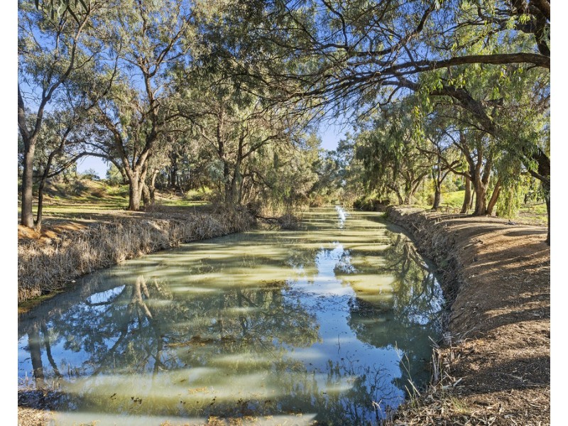 3a Meander Avenue, Renmark SA 5341