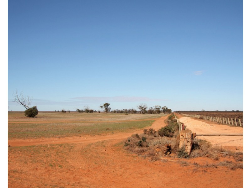 306 Beherendts Road, Paringa SA 5340