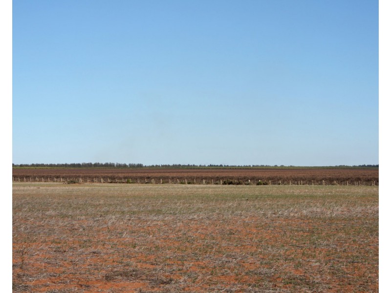 306 Beherendts Road, Paringa SA 5340