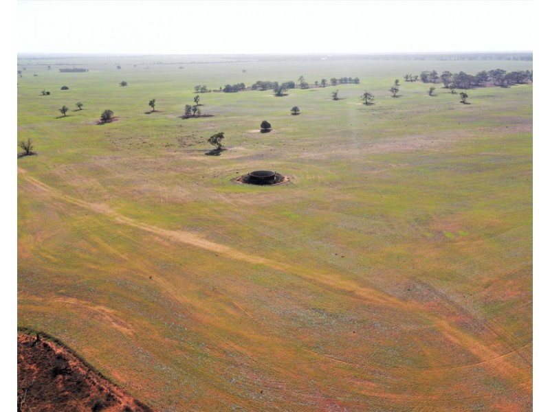 306 Beherendts Road, Paringa SA 5340