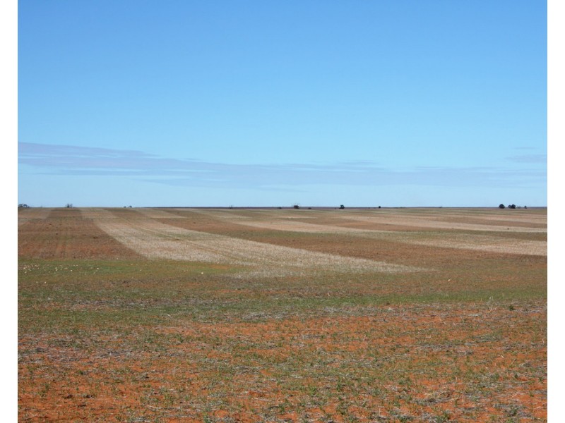 306 Beherendts Road, Paringa SA 5340