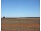 306 Beherendts Road, Paringa SA 5340