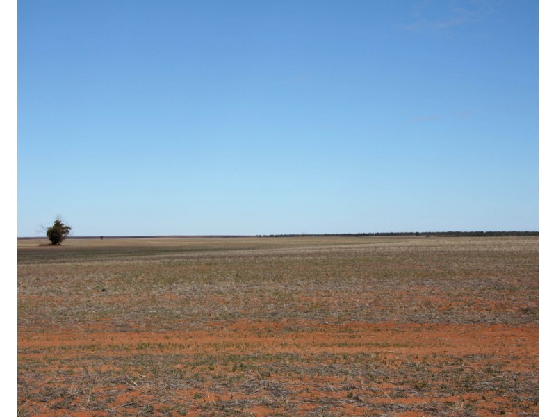 306 Beherendts Road, Paringa SA 5340