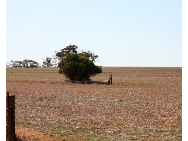 306 Beherendts Road, Paringa SA 5340