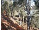 306 Beherendts Road, Paringa SA 5340