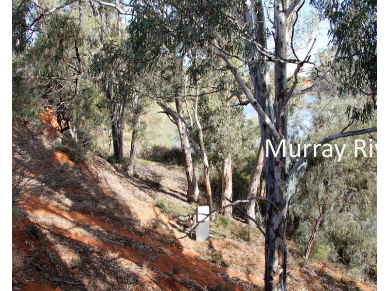 306 Beherendts Road, Paringa SA 5340