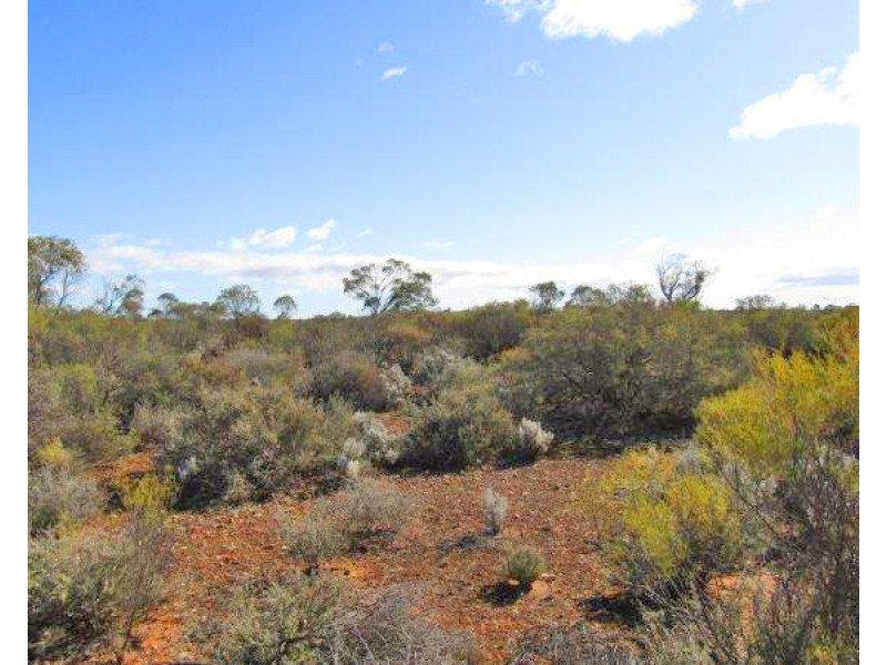 Sect 101 Thiele Highway, Morgan SA 5320