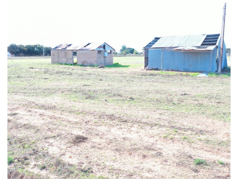 Section 63 Kestrel Street, Chaffey SA 5341