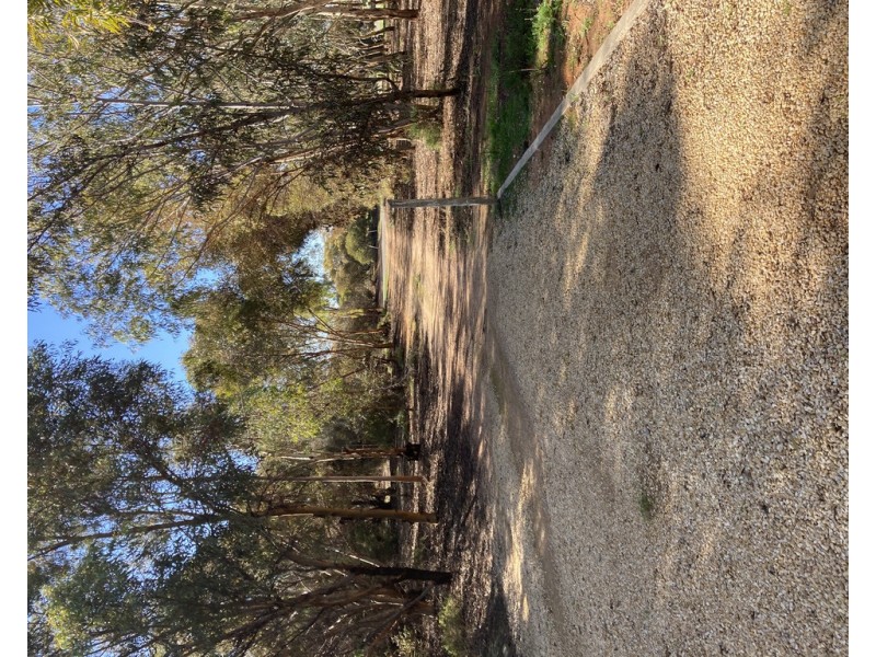 556 KULKYNE STREET, Renmark West SA 5341