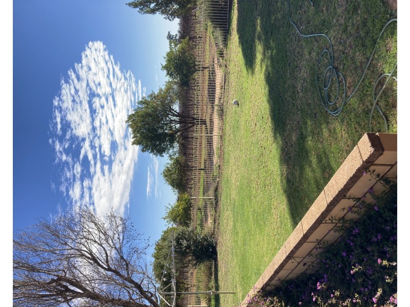 556 KULKYNE STREET, Renmark West SA 5341