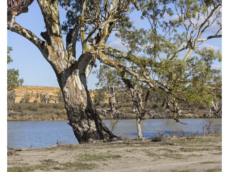 Lot 123 Murraylands Road, Swan Reach SA 5354