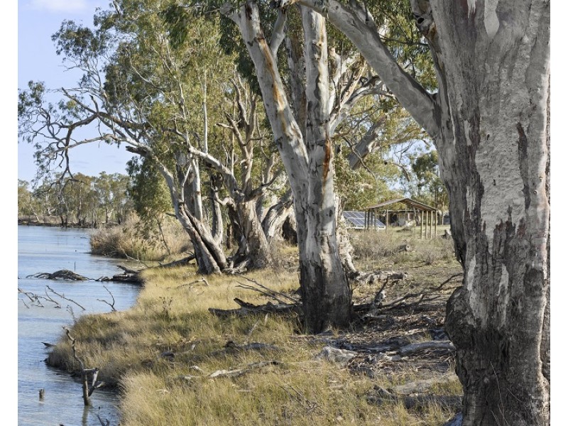 Lot 123 Murraylands Road, Swan Reach SA 5354